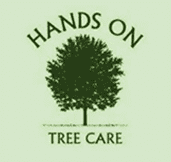 Advertisers for Tree Surgeons